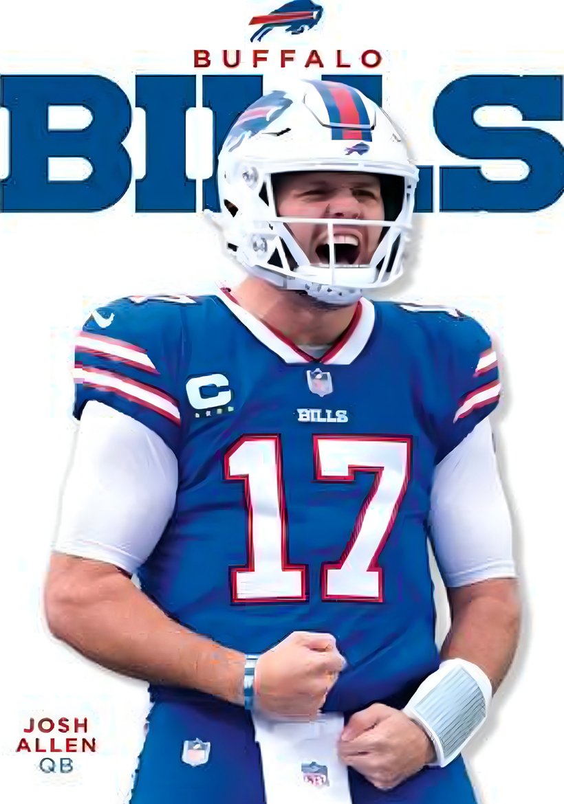 buffalo bills 17