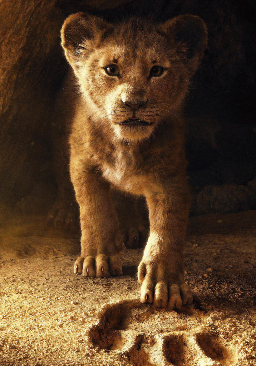 baby the lion king