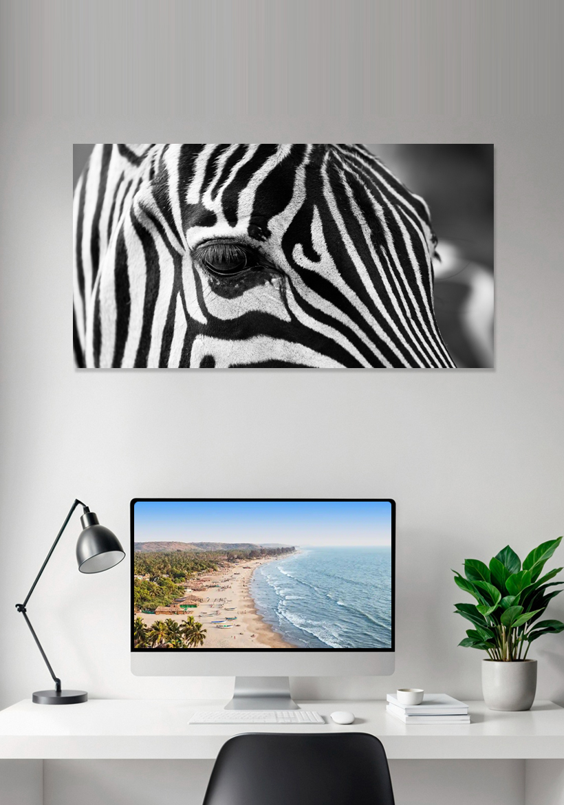 grayscale zebra closeup shot
