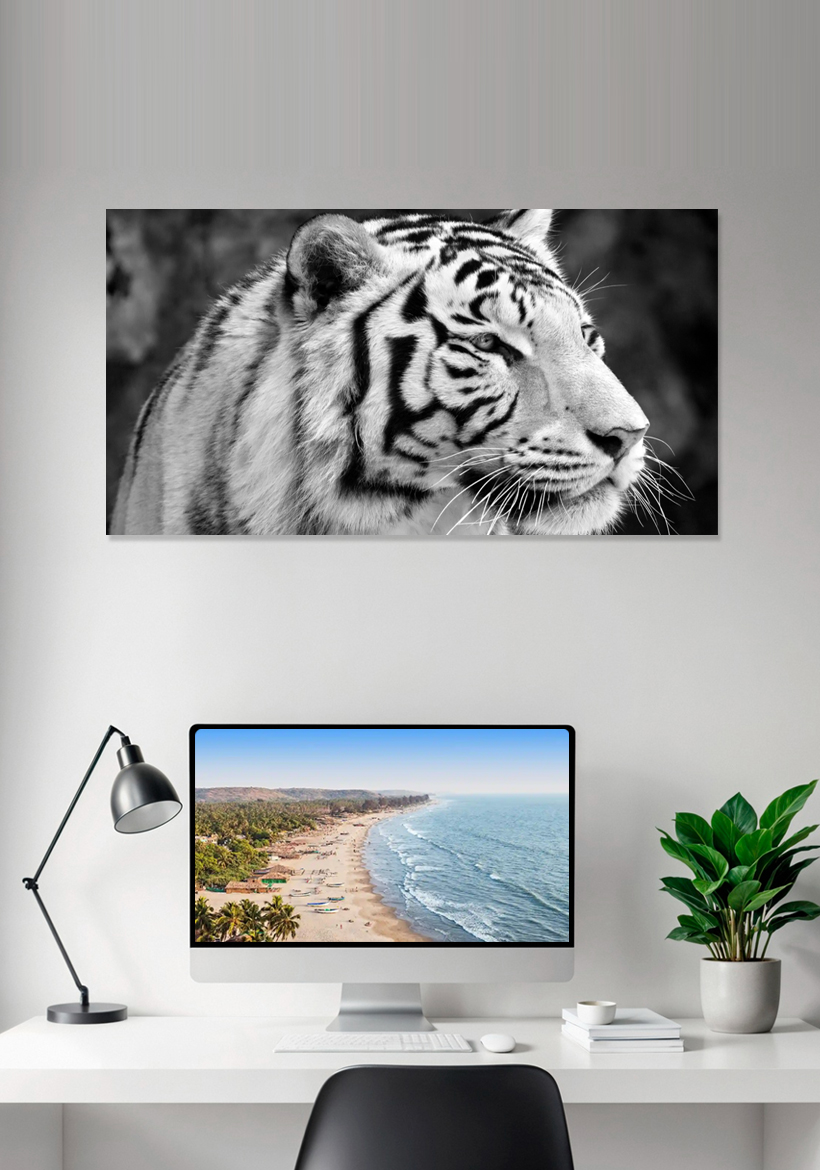 the bengal white tiger