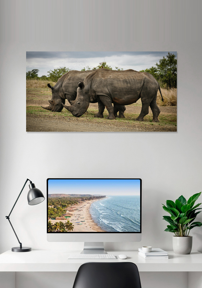 two rhino walk in jungle